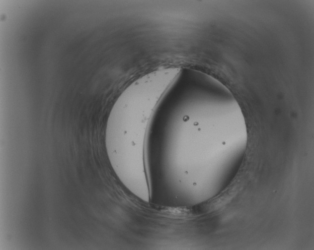 X0000066940672200603311418