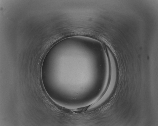 X0000066940673200603311418