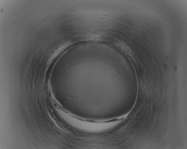 X0000066940674200603311418