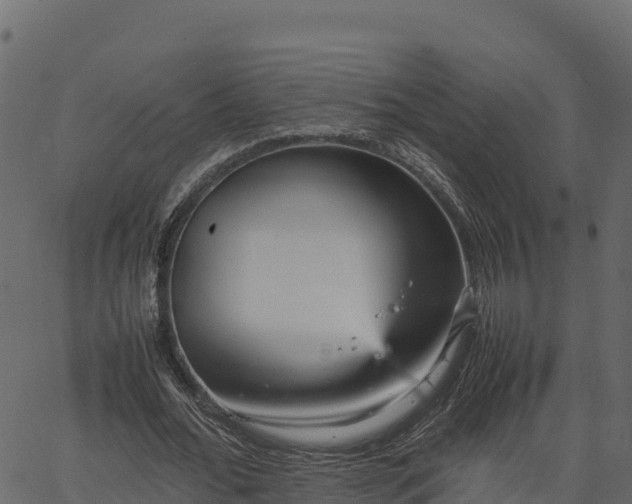 X0000066940676200603311418