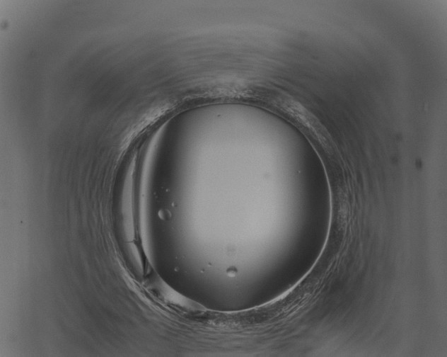 X0000066940677200603311418