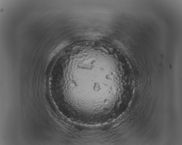 X0000066940679200603311418