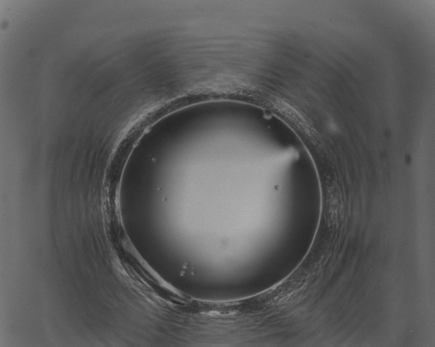 X0000066940680200603311418