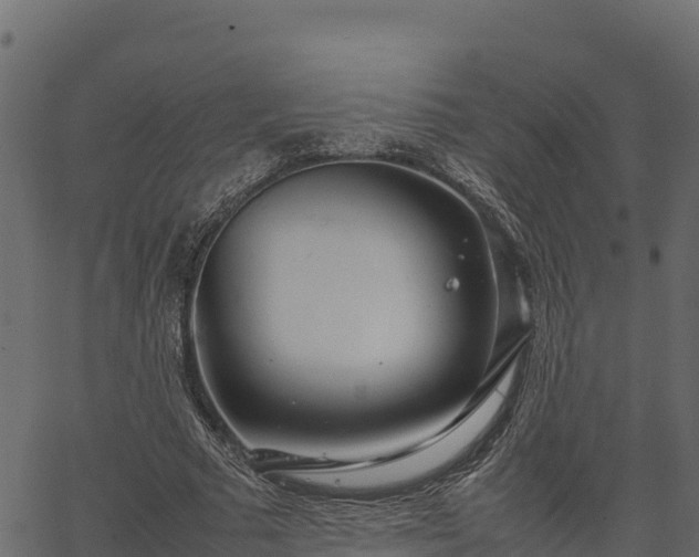 X0000066940681200603311418