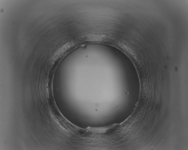 X0000066940682200603311418