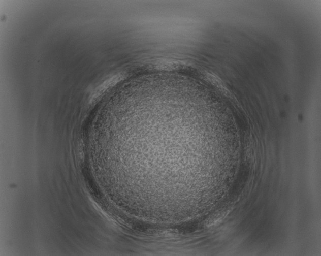 X0000066940683200603311418