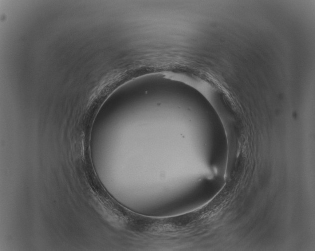 X0000066940685200603311417