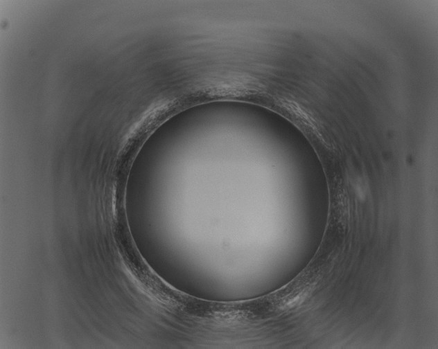 X0000066940686200603311417