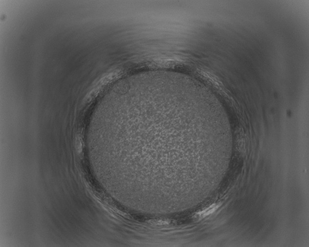 X0000066940687200603311417