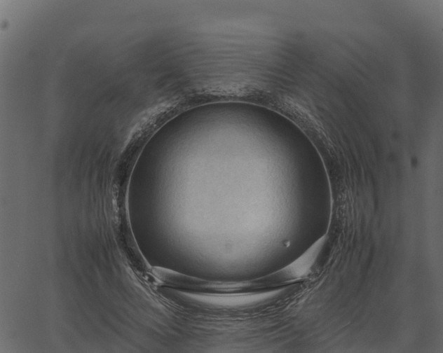 X0000066940688200603311417