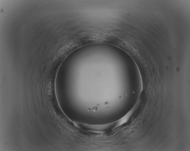 X0000066940689200603311417