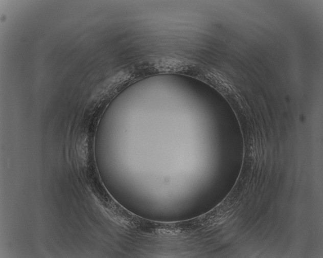 X0000066940690200603311417