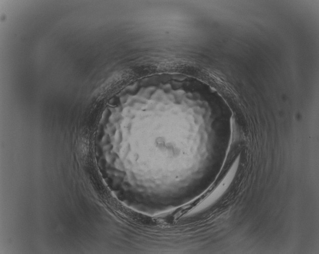 X0000066940691200603311417