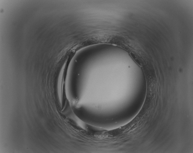 X0000066940693200603311417