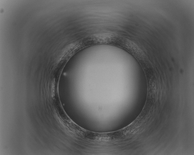 X0000066940694200603311417