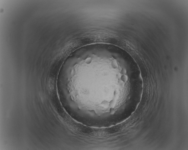 X0000066940695200603311417