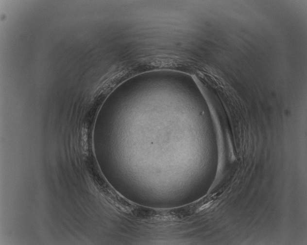 X0000066940696200603311417