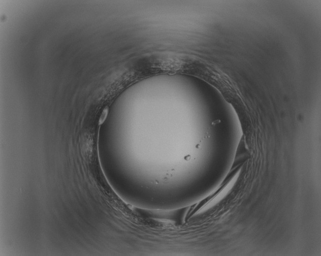 X0000066940697200603311417