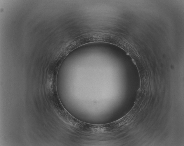 X0000066940698200603311417