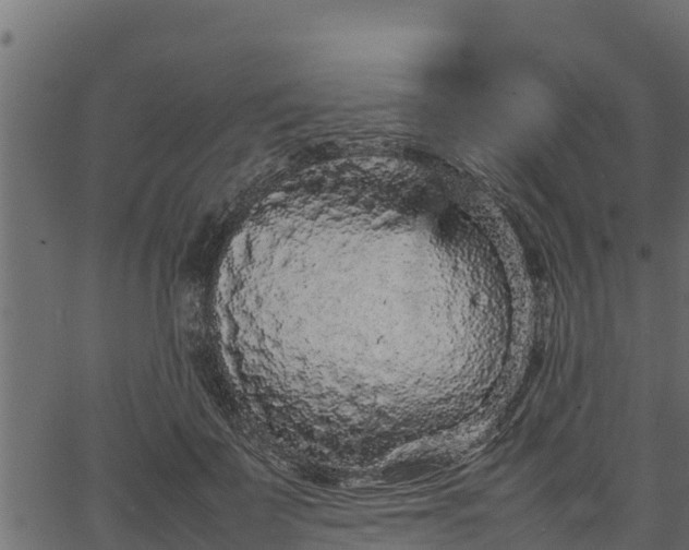 X0000066940699200603311417