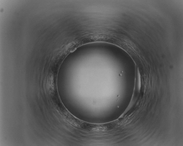 X0000066940700200603311417