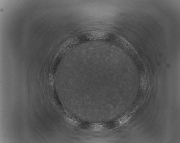 X0000066940701200603311417