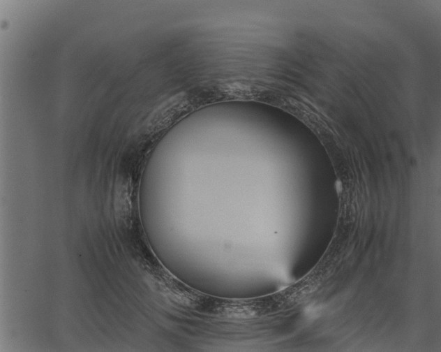 X0000066940702200603311417