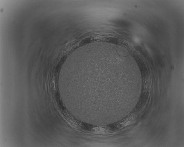 X0000066940703200603311417