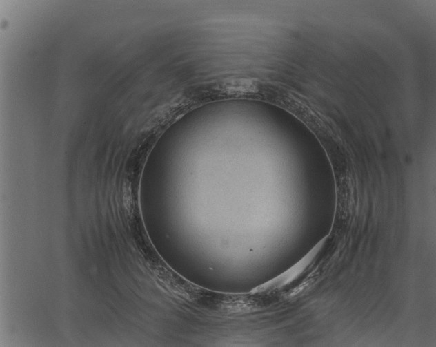 X0000066940704200603311417