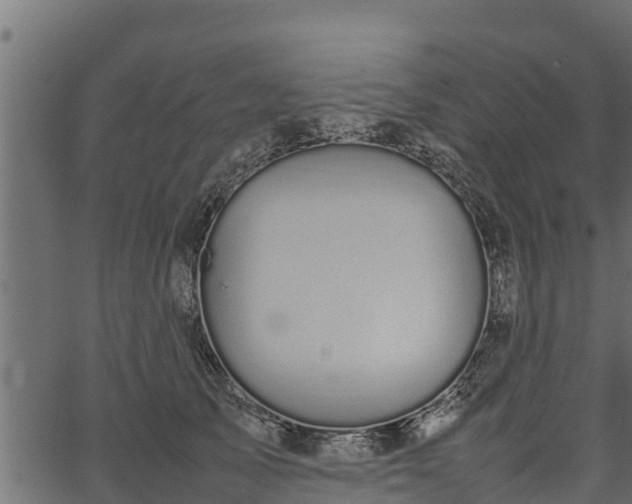 X0000066940705200603311417