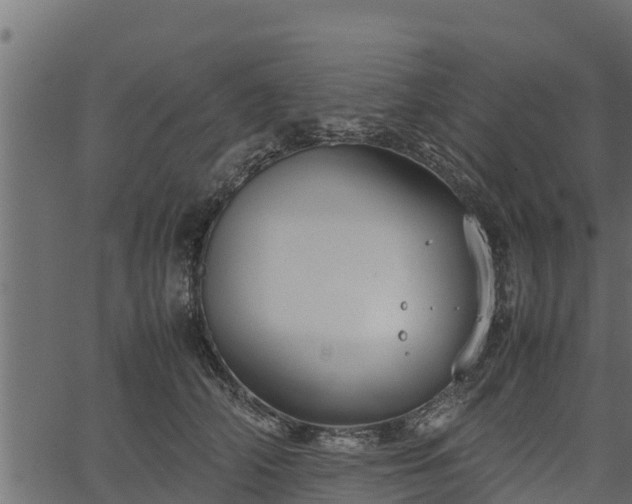 X0000066940706200603311417