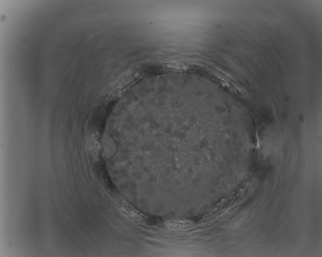 X0000066940707200603311417