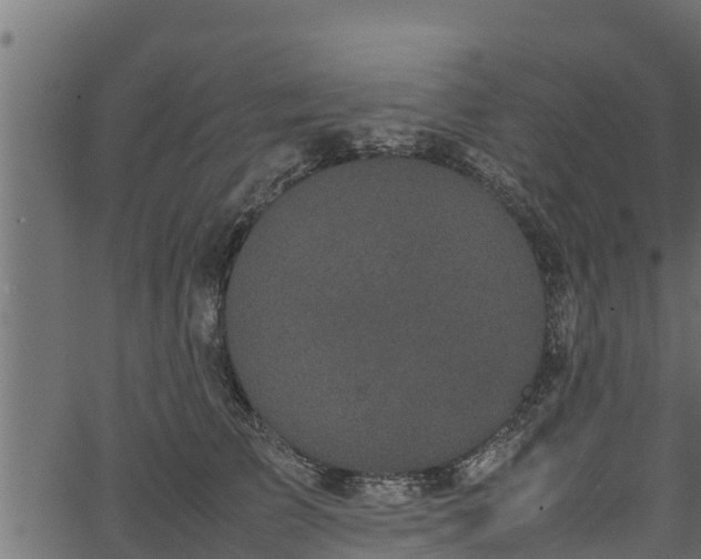 X0000066940709200603311417