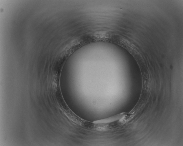 X0000066940710200603311417