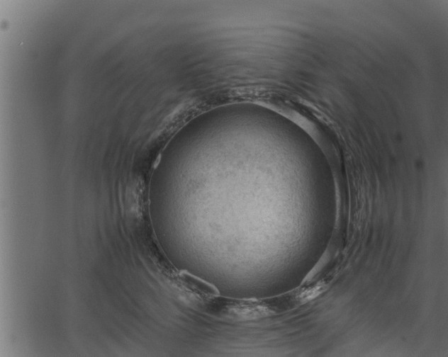 X0000066940712200603311417