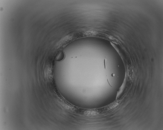 X0000066940714200603311417