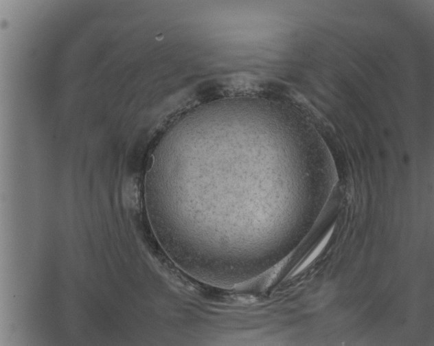 X0000066940715200603311417