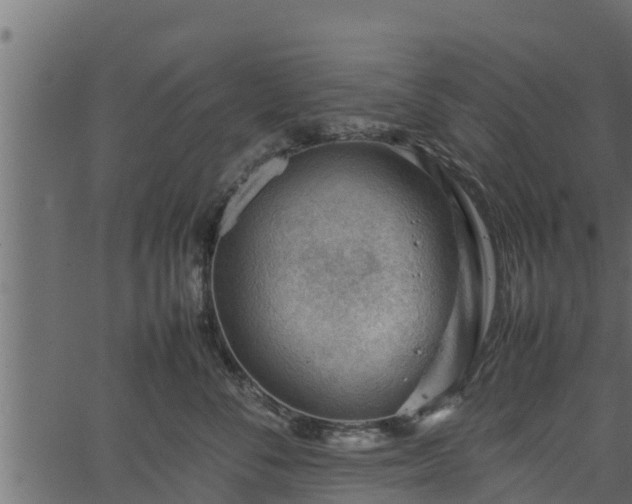 X0000066940716200603311417