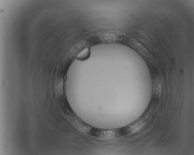 X0000066940717200603311417