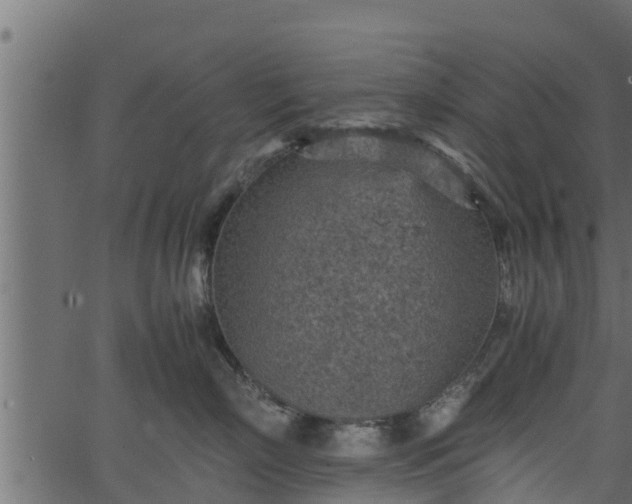 X0000066940718200603311417