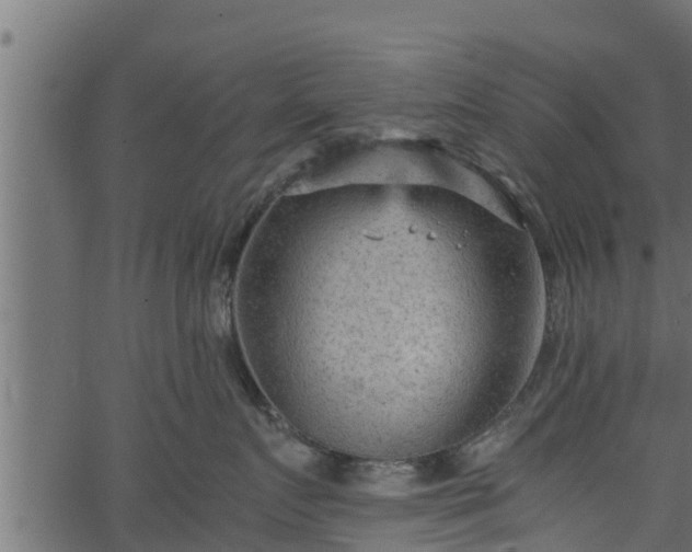 X0000066940719200603311417