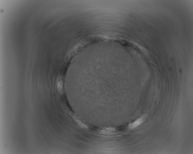 X0000066940720200603311417