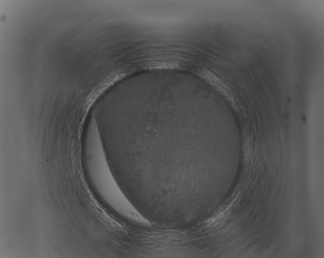 X0000066940721200603311416