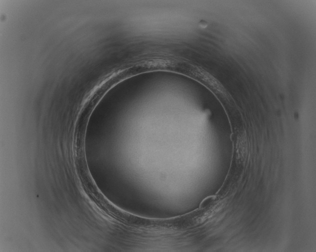 X0000066940722200603311416