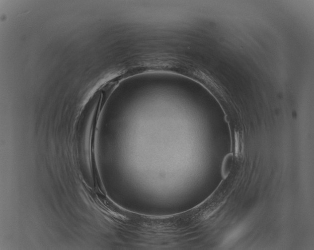 X0000066940723200603311416