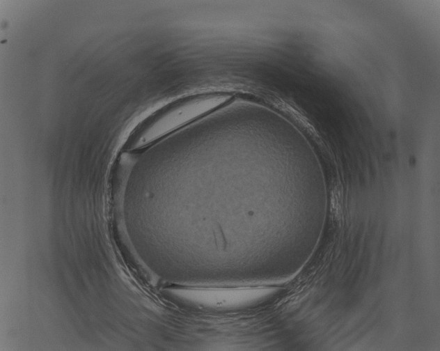 X0000066940724200603311416