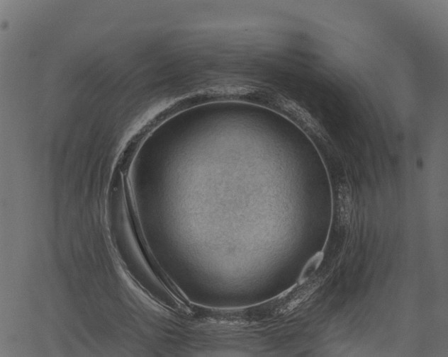 X0000066940726200603311416