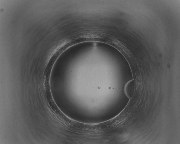 X0000066940727200603311416