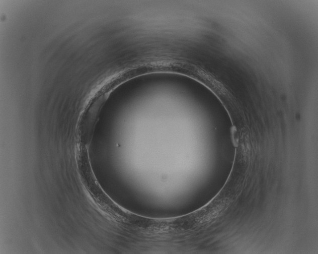 X0000066940728200603311416