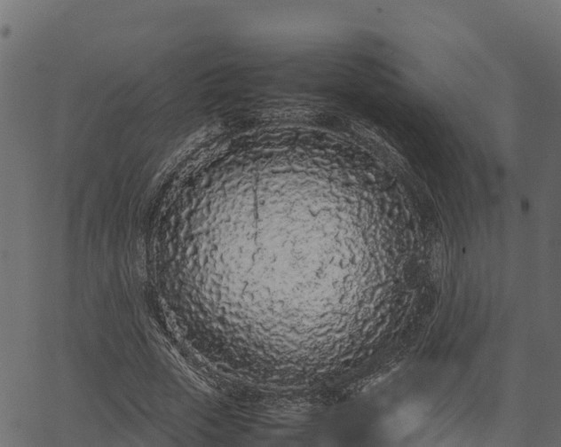 X0000066940729200603311416